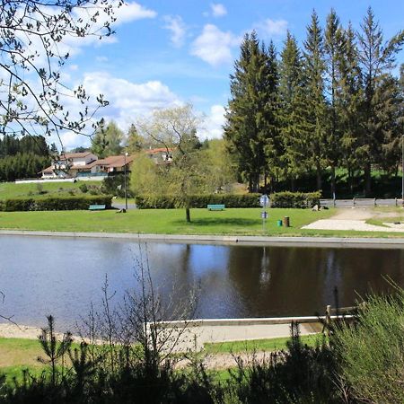 Gite Avec Cheminee, Terrasse Et Wifi - Animaux Acceptes - Fr-1-496-163 Usson-en-Forez Bagian luar foto