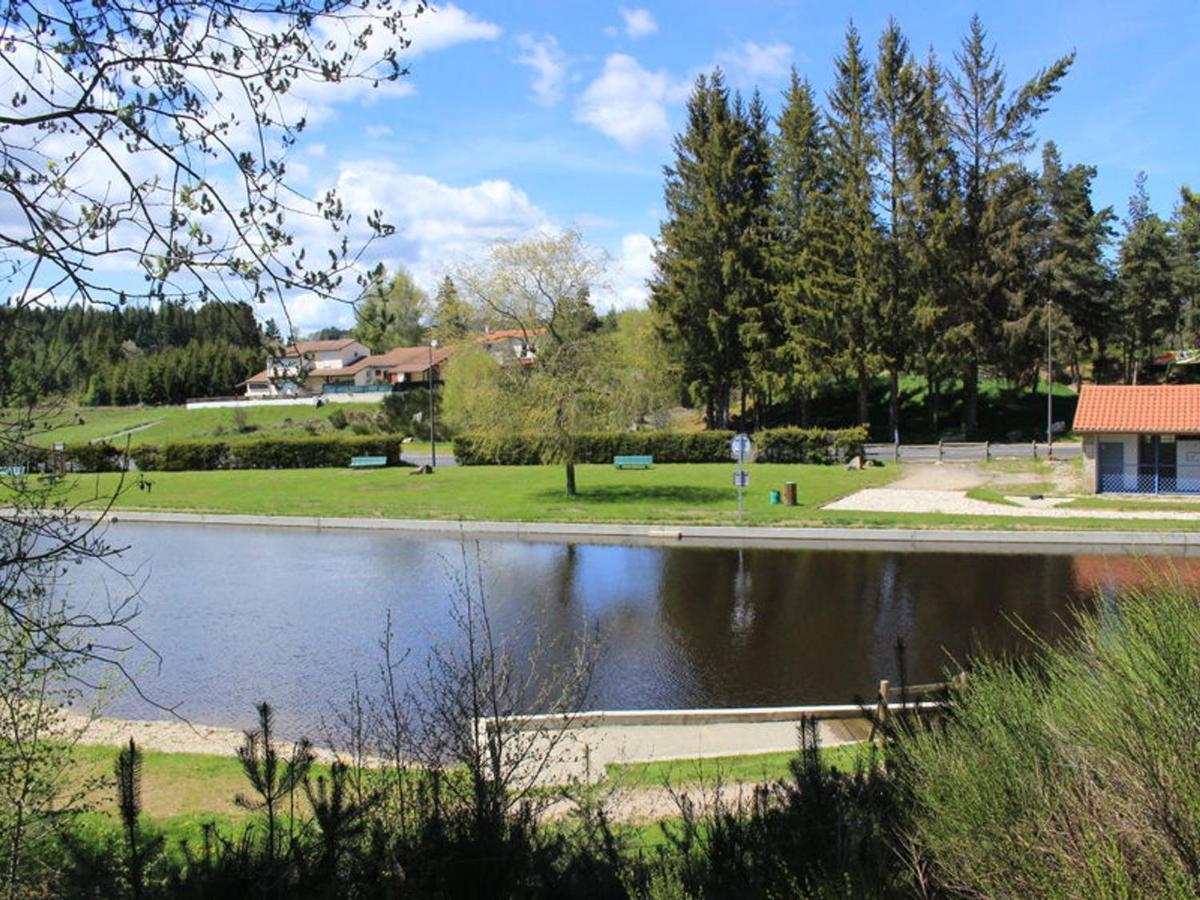 Gite Avec Cheminee, Terrasse Et Wifi - Animaux Acceptes - Fr-1-496-163 Usson-en-Forez Bagian luar foto