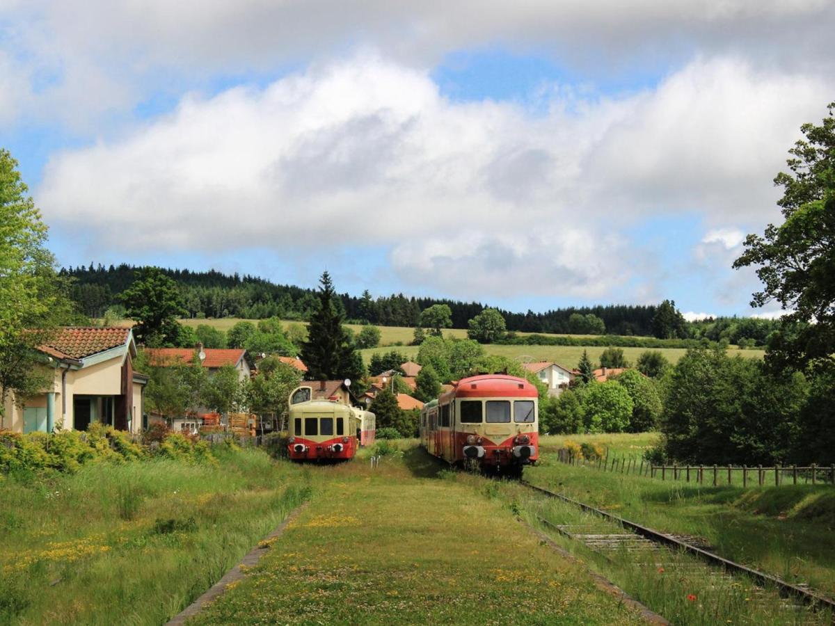 Gite Avec Cheminee, Terrasse Et Wifi - Animaux Acceptes - Fr-1-496-163 Usson-en-Forez Bagian luar foto