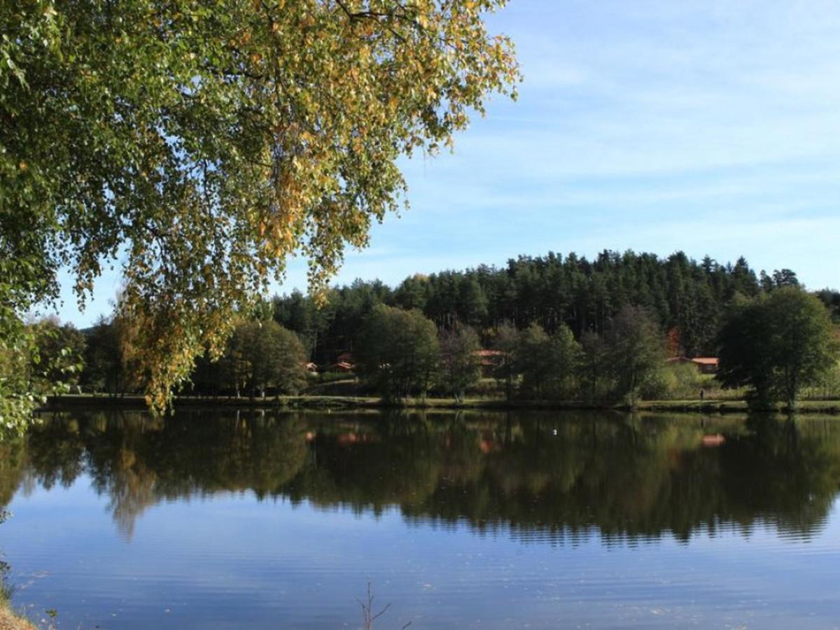 Gite Avec Cheminee, Terrasse Et Wifi - Animaux Acceptes - Fr-1-496-163 Usson-en-Forez Bagian luar foto